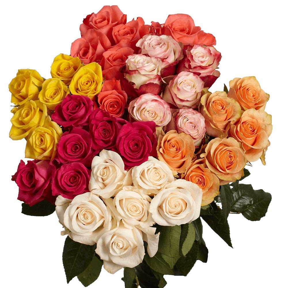 Rosas de colores*