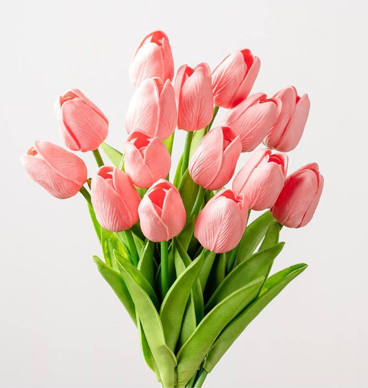 Tulips*